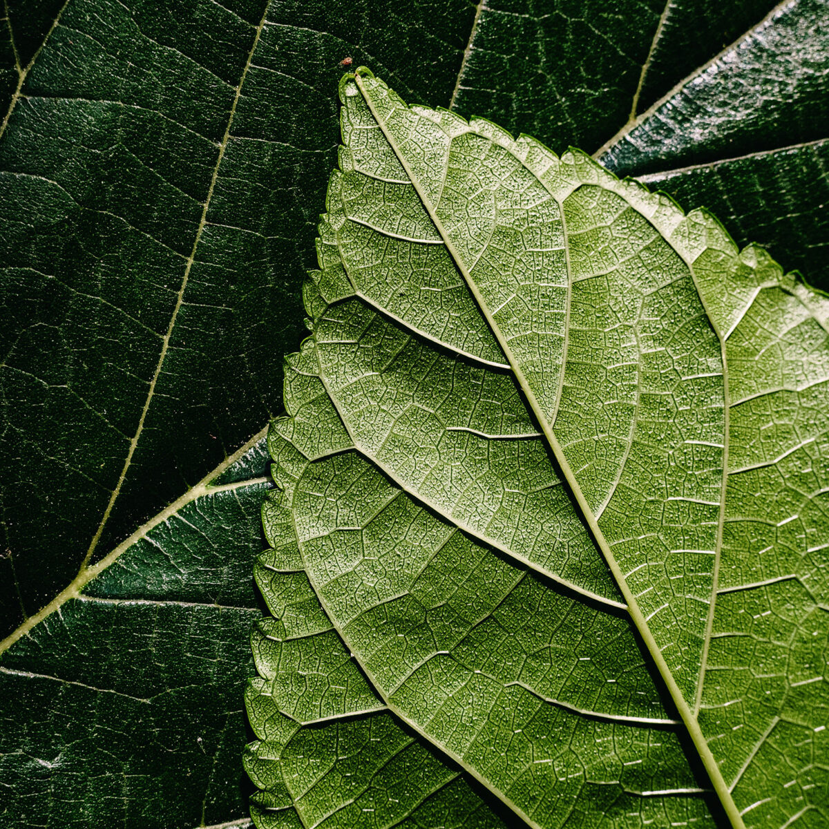 Wir setzen auf Nachhaltigkeit-Reparatur statt Austausch